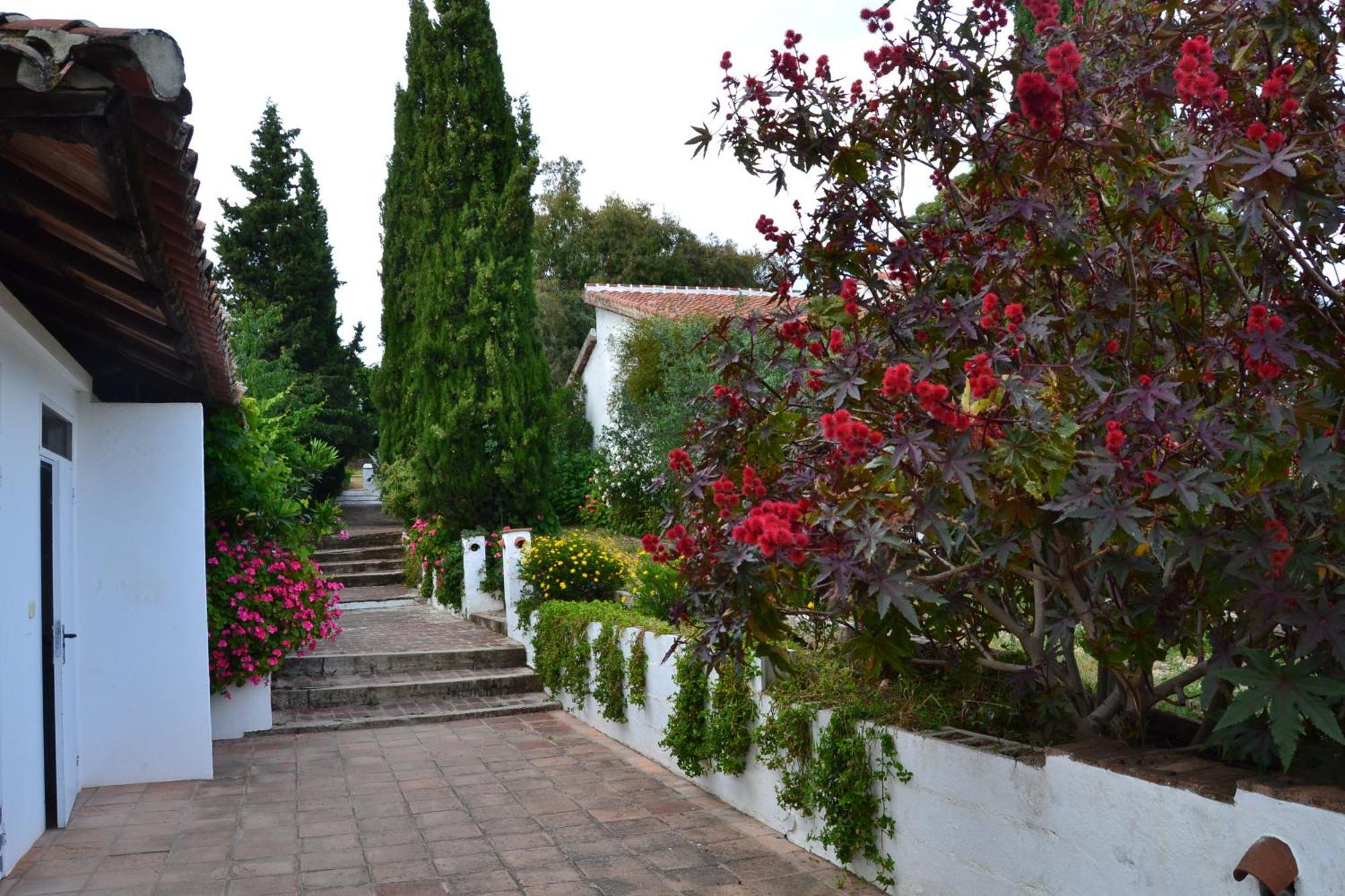 Las Navezuelas กาซาญา เดลา เซียร์รา ภายนอก รูปภาพ